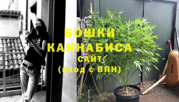 гашиш Богданович