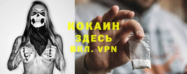 гашиш Богданович