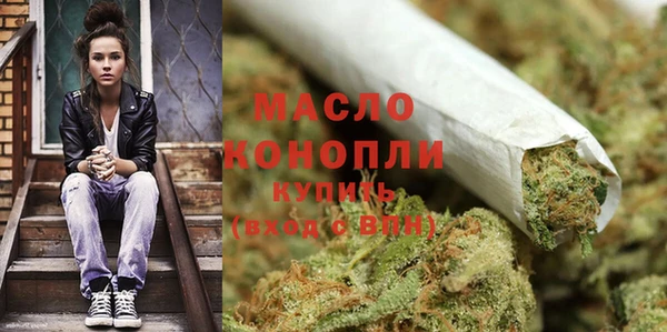 гашиш Богданович