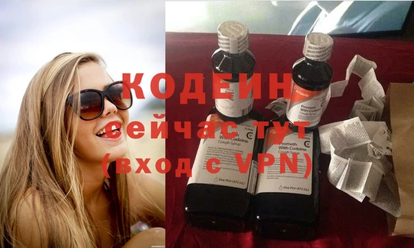 гашиш Богданович