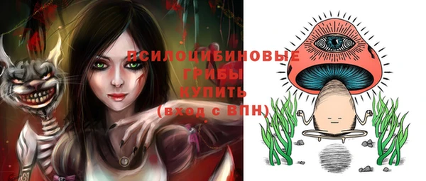 сатива Богородск