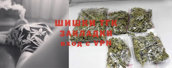 таблы Богородицк