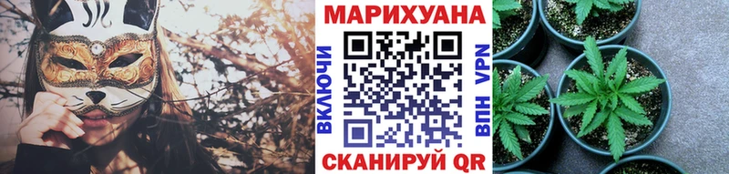 Купить  Кушва  Каннабис OG Kush 